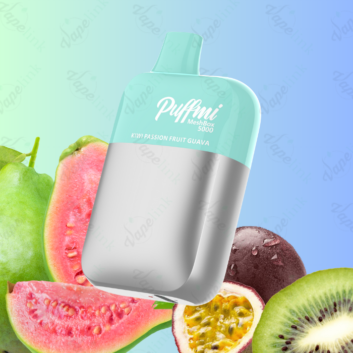 Puffmi MeshBox 5000 Rechargeable Disposable Vape
